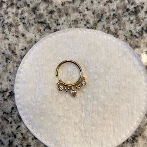 BVLA beautiful seamless septum/daith ring